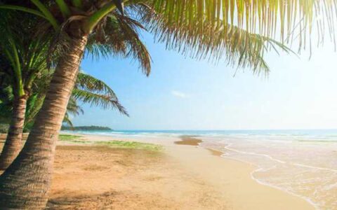 癸卯暑热成大烤之年