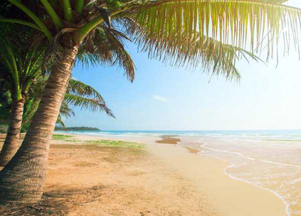 癸卯暑热成大烤之年