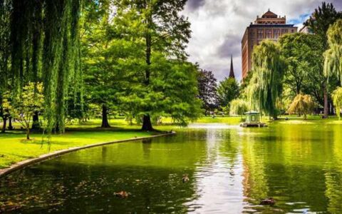 题二子林间闲卧