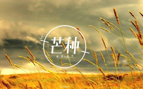芒种，勿忘春耕夏耘苦