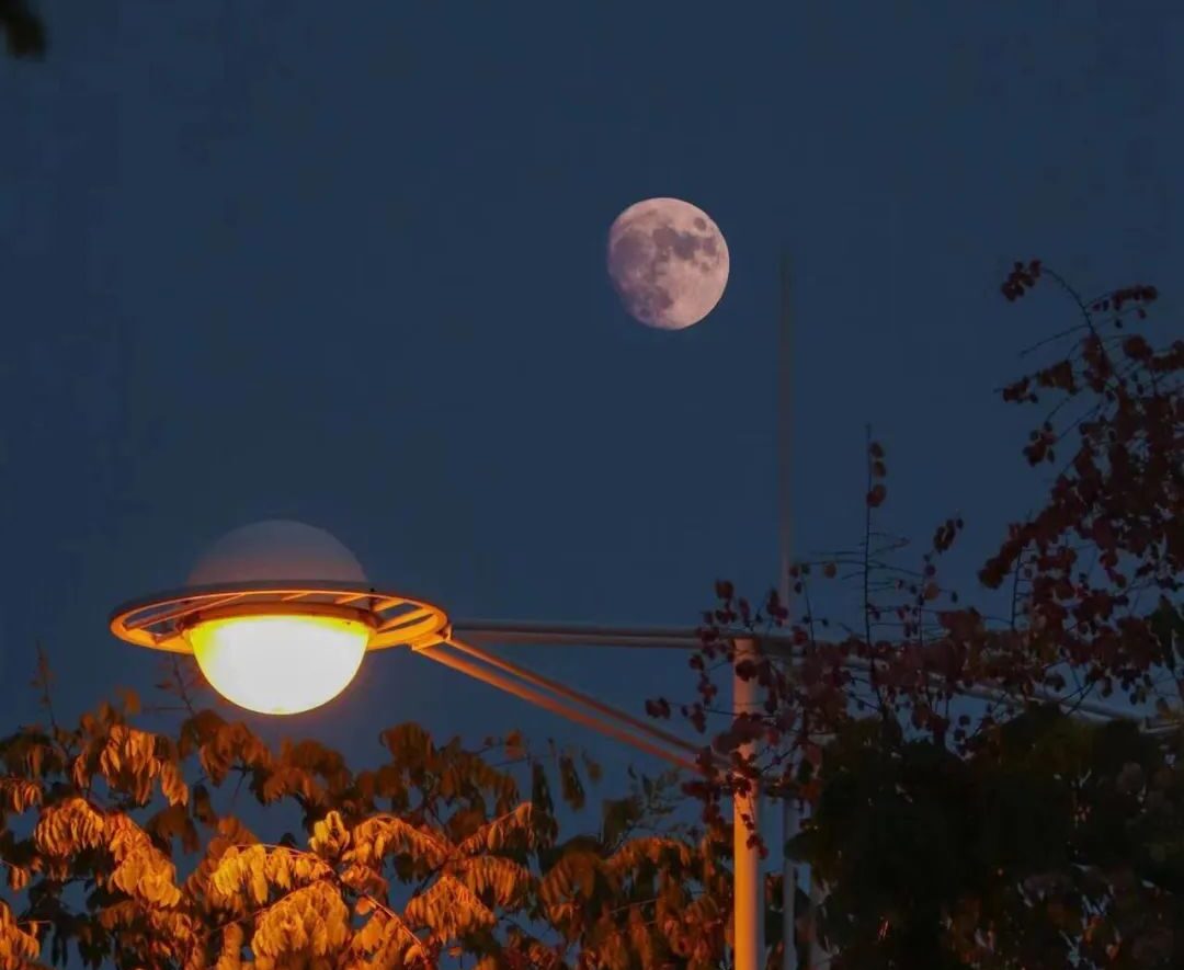 癸卯中秋 家人快乐