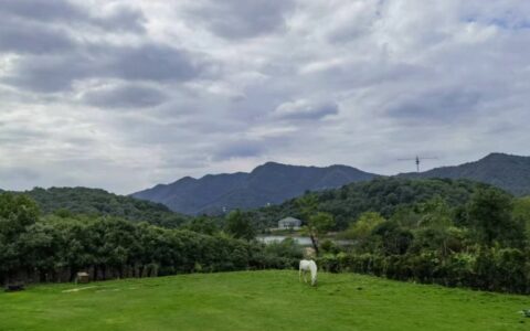 无题(青山白马图)