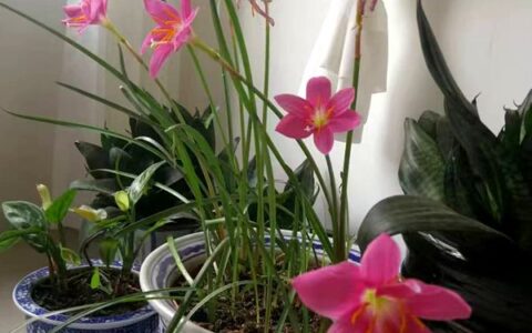 迁新居三月余有感