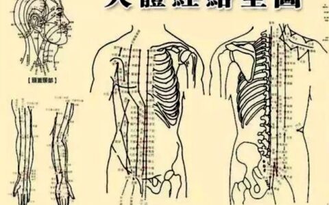 蛇年六月说说人体穴位