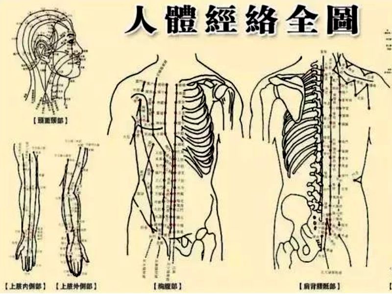 蛇年六月说说人体穴位