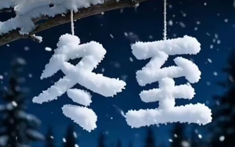 今天是农历冬至日