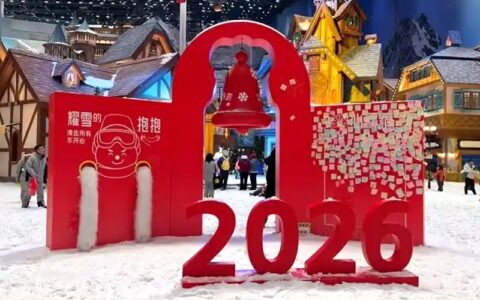 蛇年十一月迎26元旦感怀续作